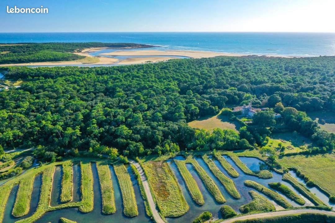 Charmant T2 Au Coeur Du Golf De Port Bourgenay Talmont-Saint-Hilaire ภายนอก รูปภาพ