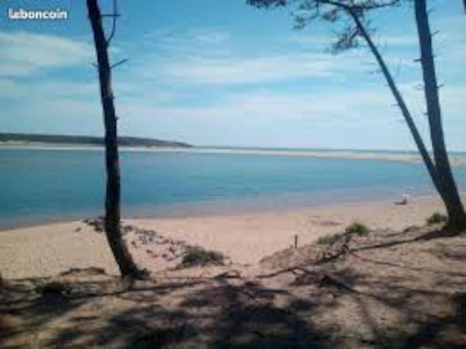 Charmant T2 Au Coeur Du Golf De Port Bourgenay Talmont-Saint-Hilaire ภายนอก รูปภาพ